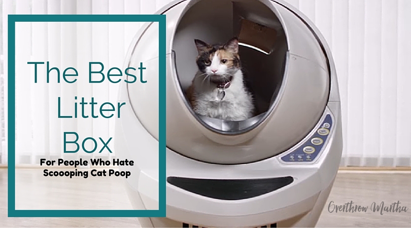 Litter Robot Self Cleaning Litter Box Review Overthrow Martha